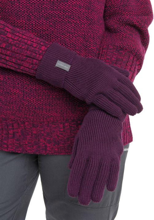 Produktbild Icebreaker U Rixdorf Gloves (L)
