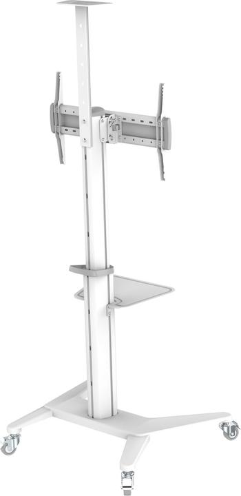Produktbild PureMounts TV-Trolley PDS-0003C DS, Weiss (Universal, 70", 70 kg)
