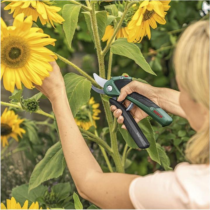 Immagine prodotto Bosch Home & Garden EasyPrune