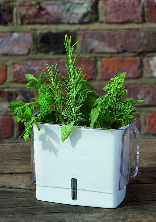 Produktbild Cole & Mason Frischhaltebox (0.38 l)