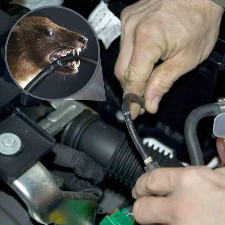Immagine prodotto Gardigo Repellente per martore