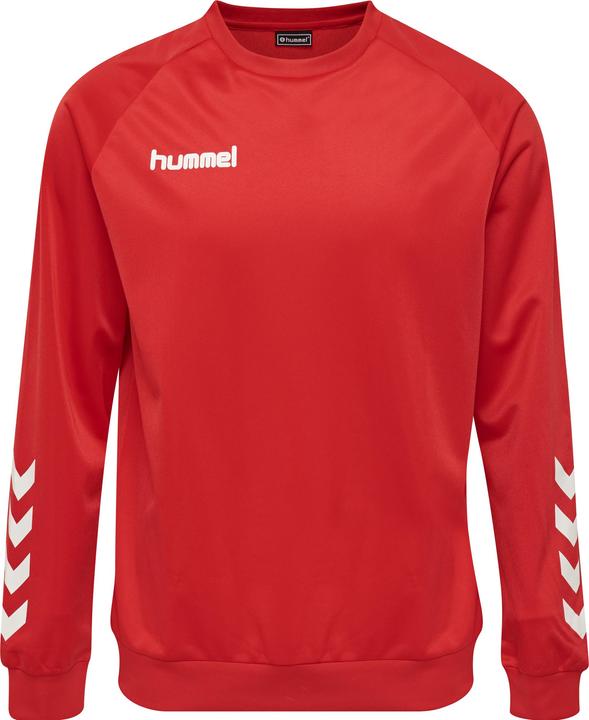 Image du produit hummel Promo Kids Poly Sweatshirt (116)