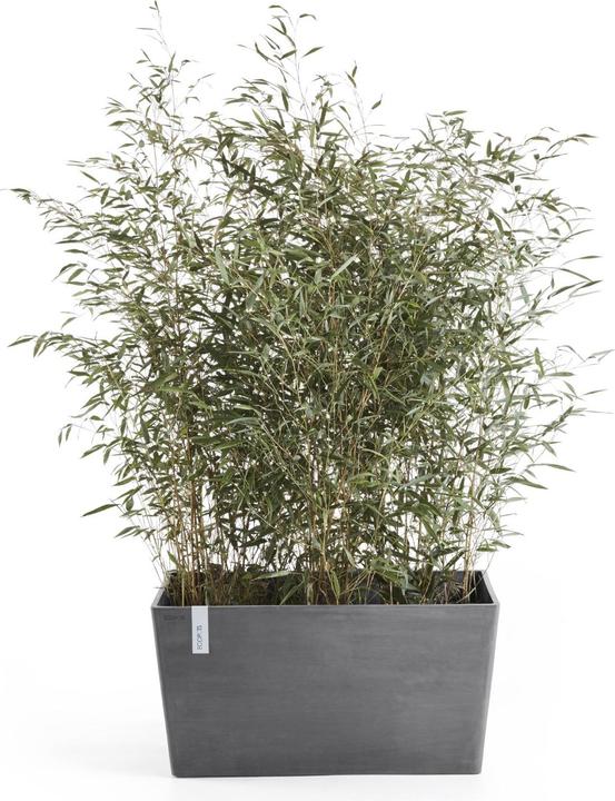 Produktbild Ecopots Paris (99 cm)