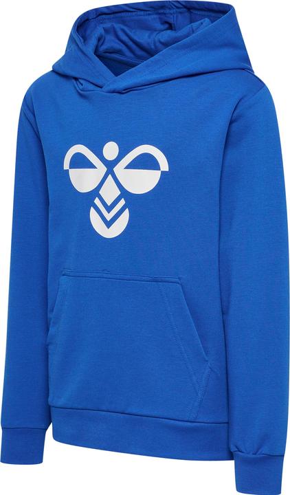 hummel hmlCUATRO HOODIE