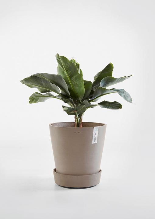 Image du produit Ecopots Soucoupe sur roues