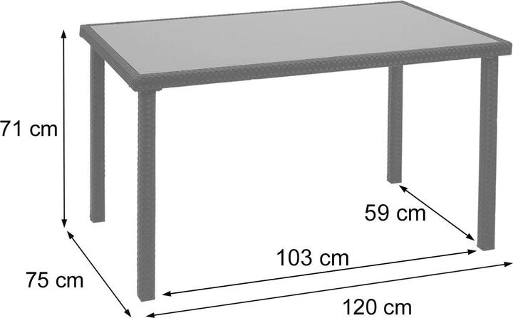 Actual product image Swisshandel24 Poly Rattan Table, Garden Table Balcony Table, 120x75cm - Grey (120 cm)