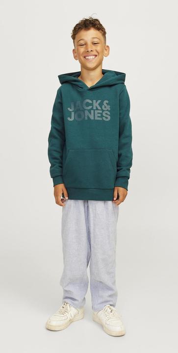 Actual product image Jack & Jones Jjecorp Logo Sweat Hood Noos Jnr (164)