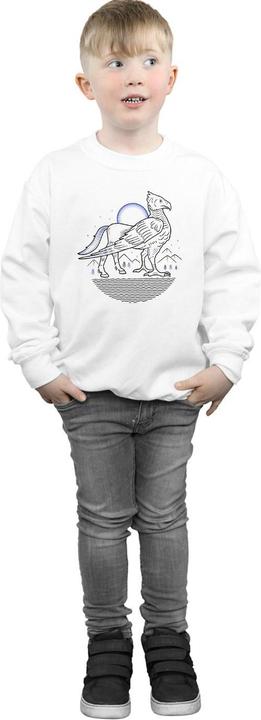 Actual product image Boys Buckbeak Line Art Sweatshirt (152, 158)