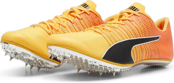 Puma evoSPEED BRUSH 6