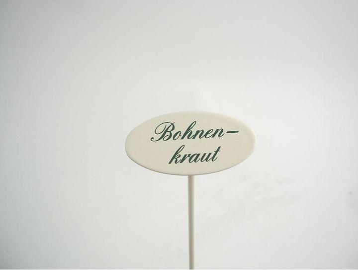 Gewürzstecker Bohnenkraut 20 cm (20 cm)
