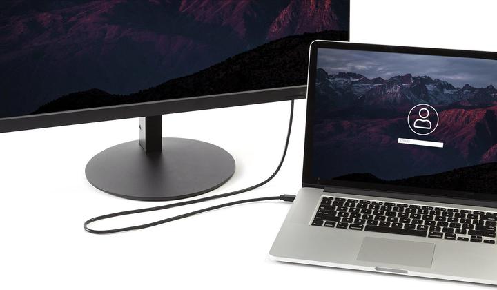 Image du produit StarTech Mini DisplayPort — DisplayPort (1.80 m, DisplayPort)