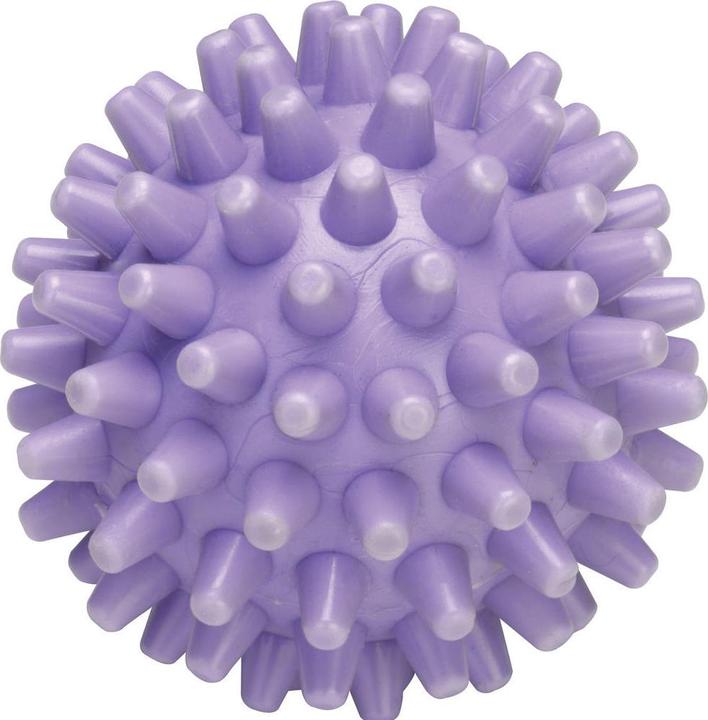 Image du produit WPRO C00380131 TØRREBOLD 1 PC.
