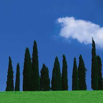 Immagine prodotto Hama Filtro di polarizzazione (77 mm, Filtri polarizzanti, 77 mm)