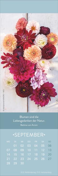 Actual product image Gute Gedanken Lesezeichen & Kalender 2026 (6 x 18 cm, Hardcover, German)