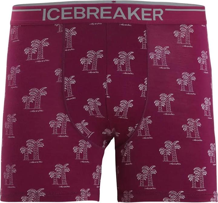 Image du produit Icebreaker Anatomica (XL)