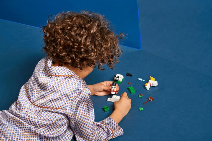 Actual product image LEGO Creative Building Set with White Stones (11012, LEGO Classic)