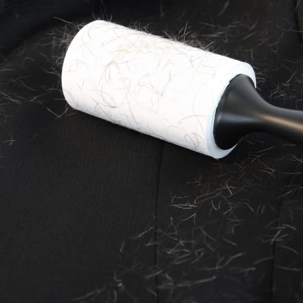 Produktbild Scotch-Brite Everyday Clean Ersatzrolle
