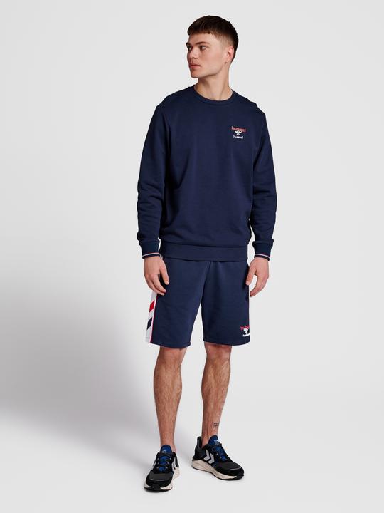 Actual product image hummel Ic Dayton Sweatshirt (L)