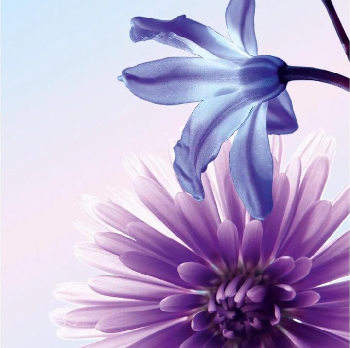 Actual product image Sigel Design paper (90 g/m², 50 x)