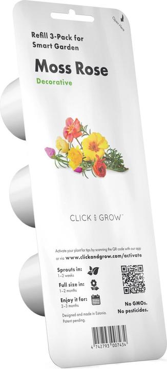 Actual product image Click and Grow Moss Rose (Flower seeds)