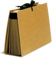Actual product image Schwartz Fan folder kraft paper with 16 compartments (A4, 1 x)