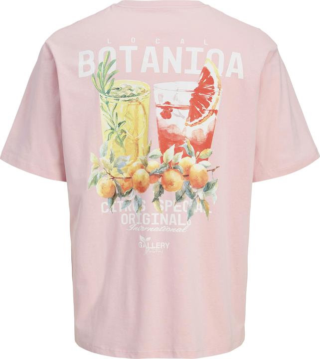 Actual product image Jack & Jones Jorbotaniq Tee Ss Crew Neck Tg Ln (M)