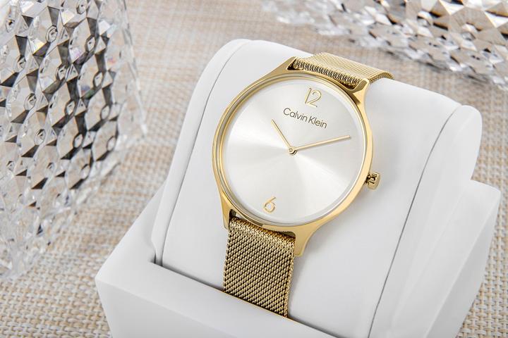 Image du produit Calvin Klein Timeless Mesh Damenuhr 25200003 + BOX (Montre analogique)
