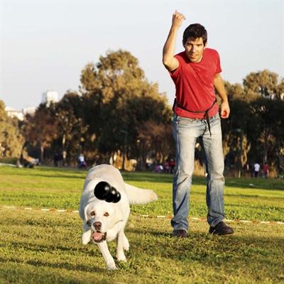 Actual product image KONG Extreme (Retrieval, Dog food toy, Dog chew toy)