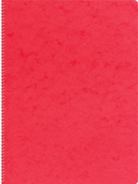 Actual product image Novooo Spiralheft assortiert (A4, Lined)
