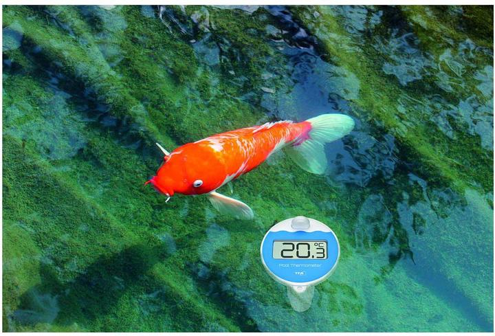 Actual product image TFA Marbella Funk Pool