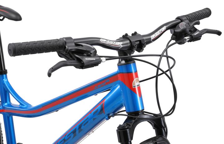 Actual product image Bikestar Hardtail mountain bike (40.64 cm)