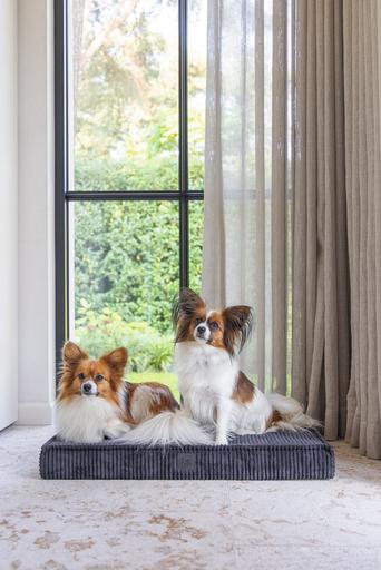 Actual product image Designed by Lotte Orthopaed cage cushion Ribbed (Dog)