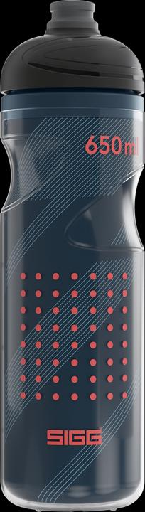 Actual product image Sigg Pulsar (0.65 l)