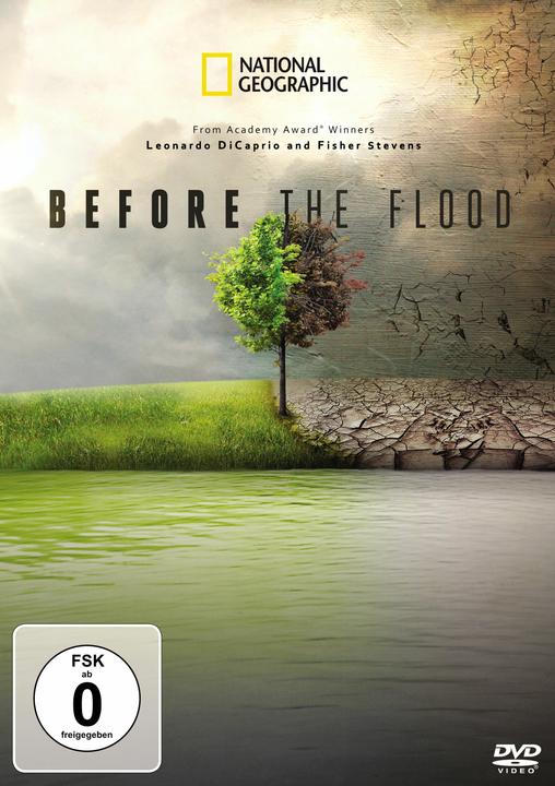 Actual product image Before the Flood (DVD, 2016, German)