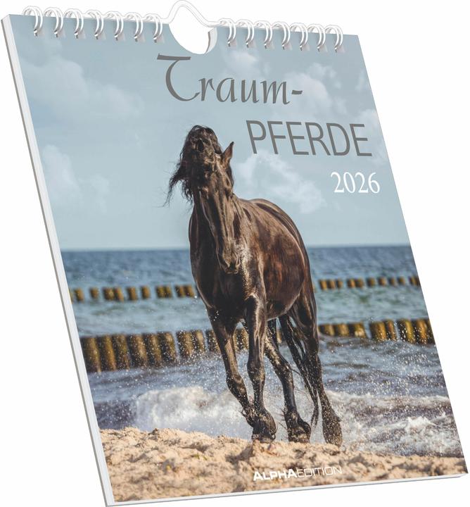 Produktbild Traumpferde2026-Postkartenkalender16x17cm-Horses-zumAufstellenoderAu (16 x 17 cm, Deutsch)