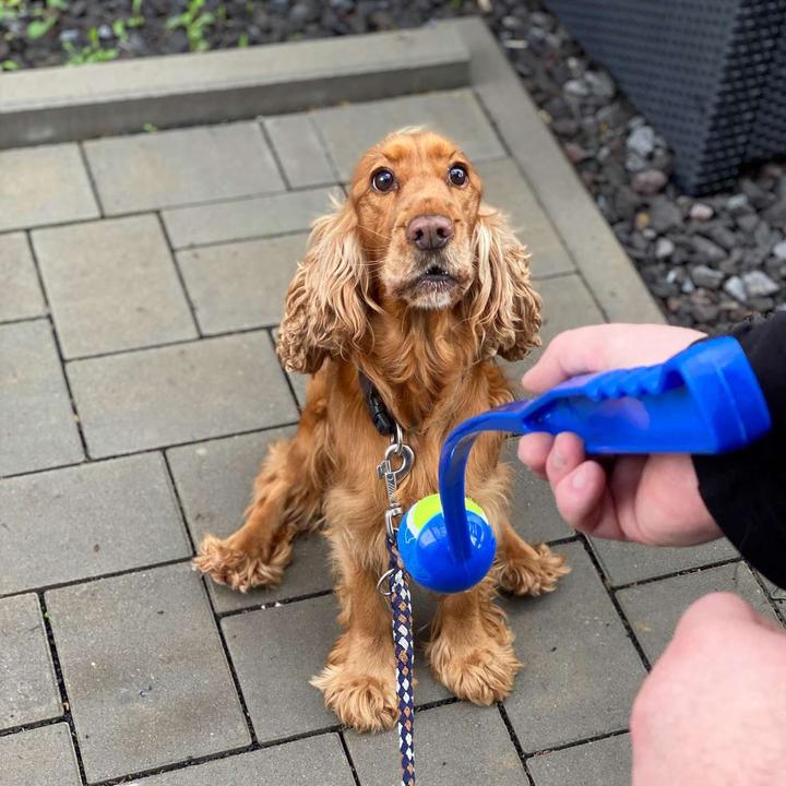 Produktbild Intirilife Hunde Ballschleuder Ballwurfstab (Ballspielzeug Hund)