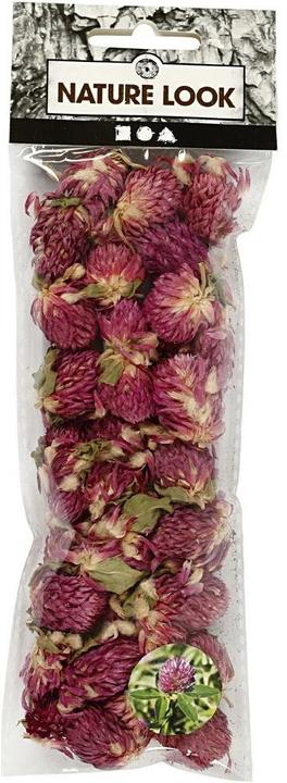 Image du produit Creativ Company Fleurs 15 g, Trèfle rouge (Fleurs séchées)
