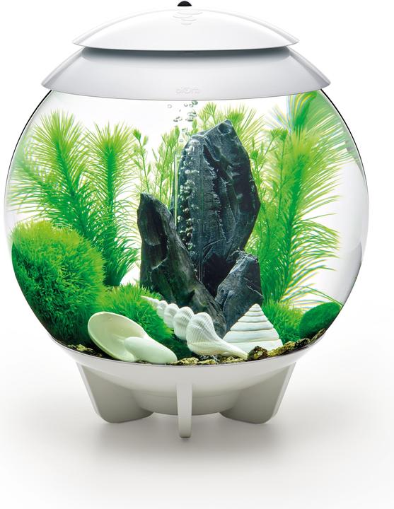 Actual product image Oase biOrb Aquarium 30 Decor Set (Embellishment, other items)