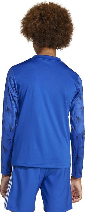 Image du produit adidas Maillot Team Icon 25 Enfants (152)
