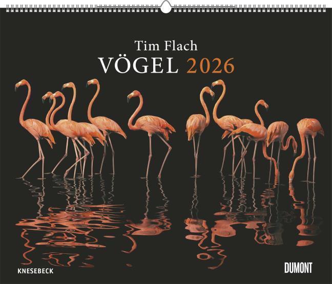 Actual product image Vögel 2026 - Posterkalender von DUMONT- Vogel-Porträts von Tim Flach - Poster-Format 50 x 70 cm (50 x 70 cm, German)