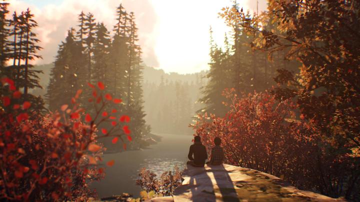 Image du produit Square Enix Life is Strange 2 PS4 (PS4, DE)