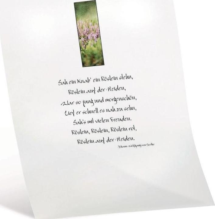 Immagine prodotto Folia Carta trasparente extra forte bianca (115 g/m², A4, 10 x)