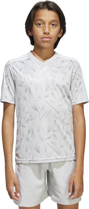 Image du produit adidas Maillot Team Icon 25 Enfants (116)