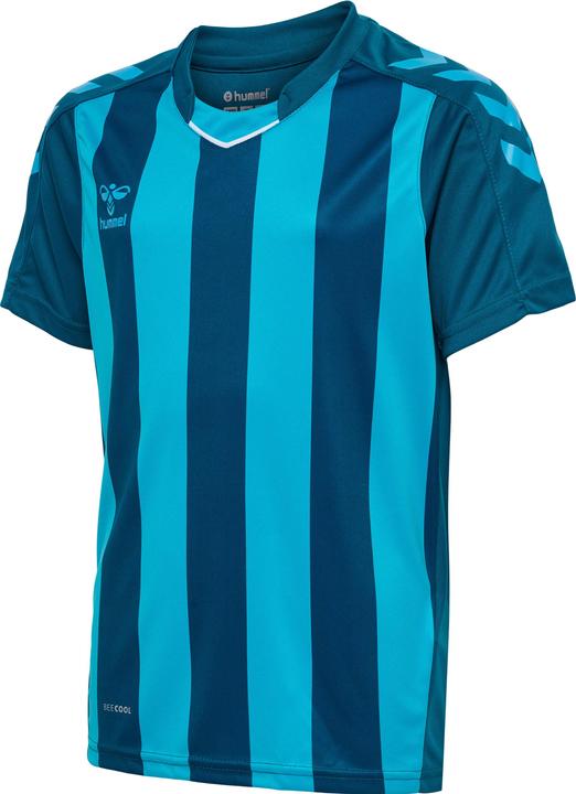 Actual product image hummel Core Xk Striped Jersey Kids S/S (116)
