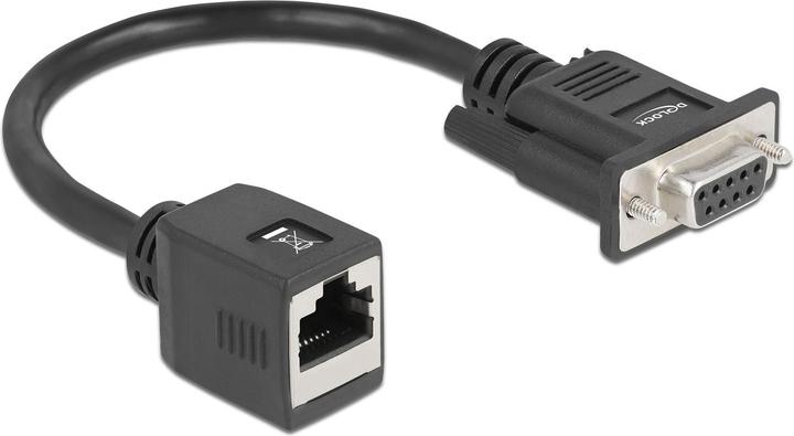 Delock Seriell RS-232/422/485 Adapter DB9 Buchse zu RJ45 Buchse (0.20 m)