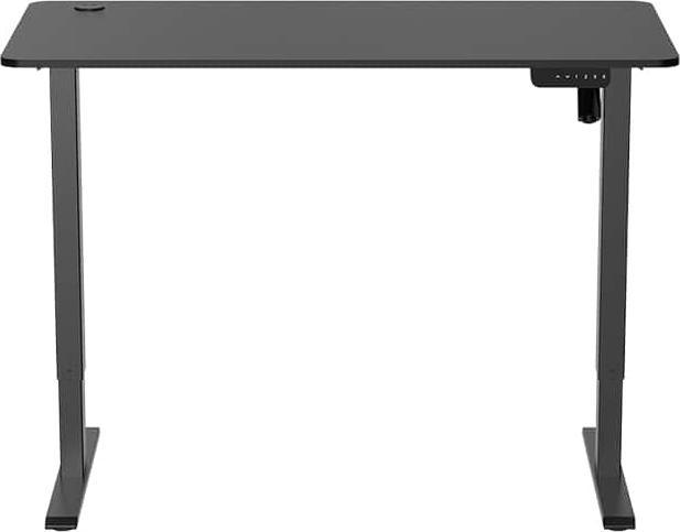 Actual product image LogiLink Sit-stand desk (120 x 60 x 114 cm)
