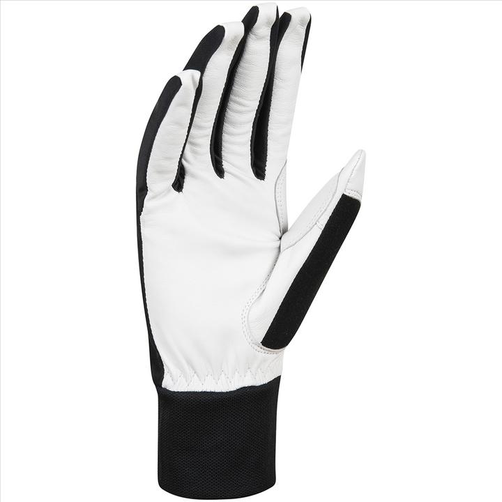 Produktbild Daehlie M Glove Race Leather (10)