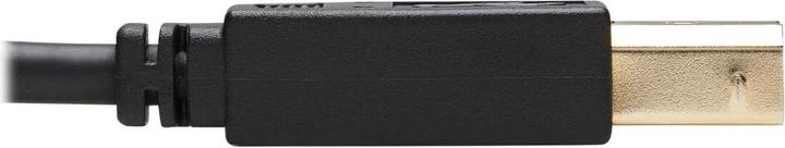 Image du produit Eaton Kit Câble KVM HDMI - 4K HDMI USB 2.0 3,5mm Audio M/M Noir 10 ft. 3,05m