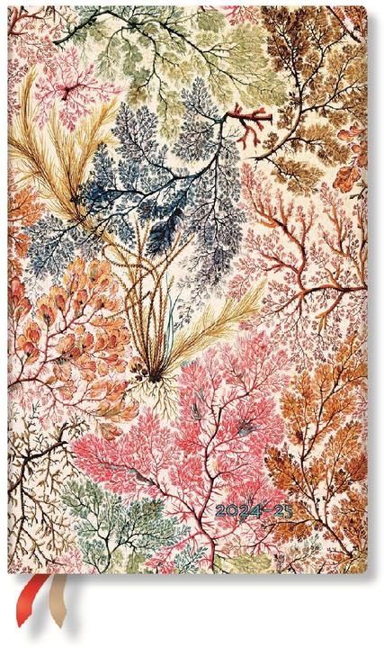 Immagine prodotto Paperblanks Agenda settimanale Maxi 2024 / 2025 Anemone (13,5 x 21 cm, Righe, Copertina morbida)