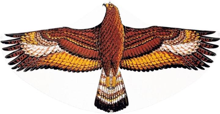 Produktbild Günther Flugspiele Steinadler